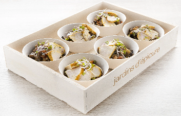 Plateau de 6 salades individuelles de la terre