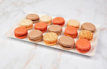Panaché de Macarons Salés – 15 pièces